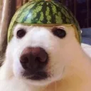 mr.melon9185 avatar