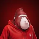kirsasp avatar