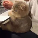 skyz_1_
