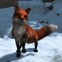 avatar Light_deer