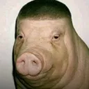 gibdaeha