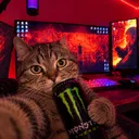 danyygram