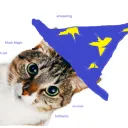 ani_t_nekomancer