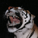 avatar uncle bob boobologist