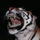 avatar uncle bob boobologist