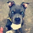 mrwayne2257