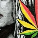 x.kkode avatar