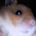 mysteriousaidan2399