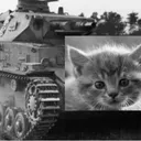 kattattack22