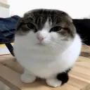 jacethenerd