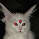 dopey1813#3941's avatar