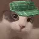 realgubs