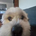 lorrr_