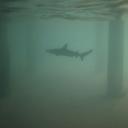 avatar жжжжжжжжжжжжжжжжжжжжжжжжжжжжжжжж