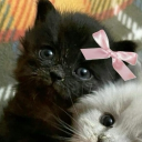 avatar s̵̢͞i̵̡͞i̶҇͜e҉̧͠n̵̨̕c̸҇͢e҉̧͝_̵