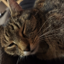 avatar s̵̢͞i̵̡͞i̶҇͜e҉̧͠n̵̨̕c̸҇͢e҉̧͝_̵