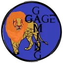 sgage13