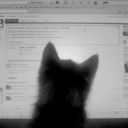 avatar ᵂ²ᴴ iiz3tor