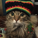 avatar ᵂ²ᴴ iiz3tor