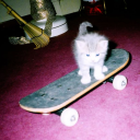 avatar ᵂ²ᴴ iiz3tor