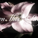 avatar ᵂ²ᴴ iiz3tor