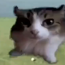 Nevermind