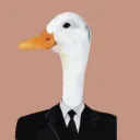 dapperduck1147