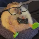 dziobak1337