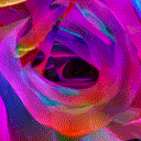 _zangi