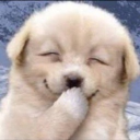 avatar the best schizo in fiction