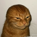 avatar joshtheboywonder