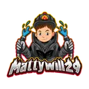 mattywill29