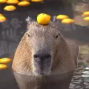 pigpyle