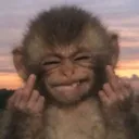 cuhai