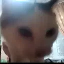 jera_2003