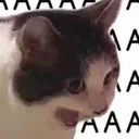 ireupdatesandpatchfixes