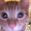 avatar S̷̰̔̆ͅē̵͎͚p̸̗̐h̵̲͗t̸̞̥̓͂į̴͇̌͂s