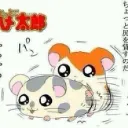 playful_possum_55216