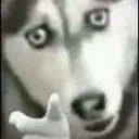jazcena