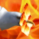 flamingol