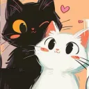 lily__tv