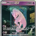 mewtu385