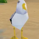 absolsocool