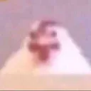 davifrancis