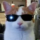 ekisvef