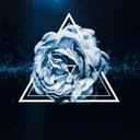 psyberrose