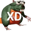 theboygamer404