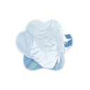 hibiliascus