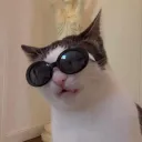 leirbag7