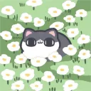 1010_tang